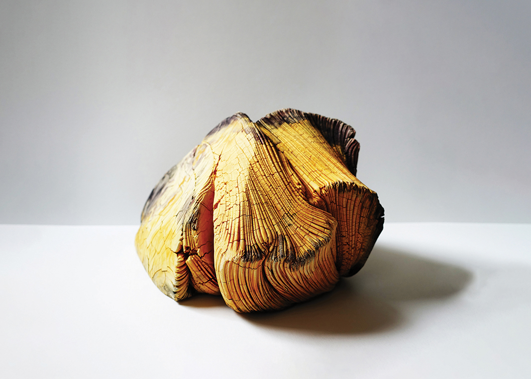 Icaro Maiterena